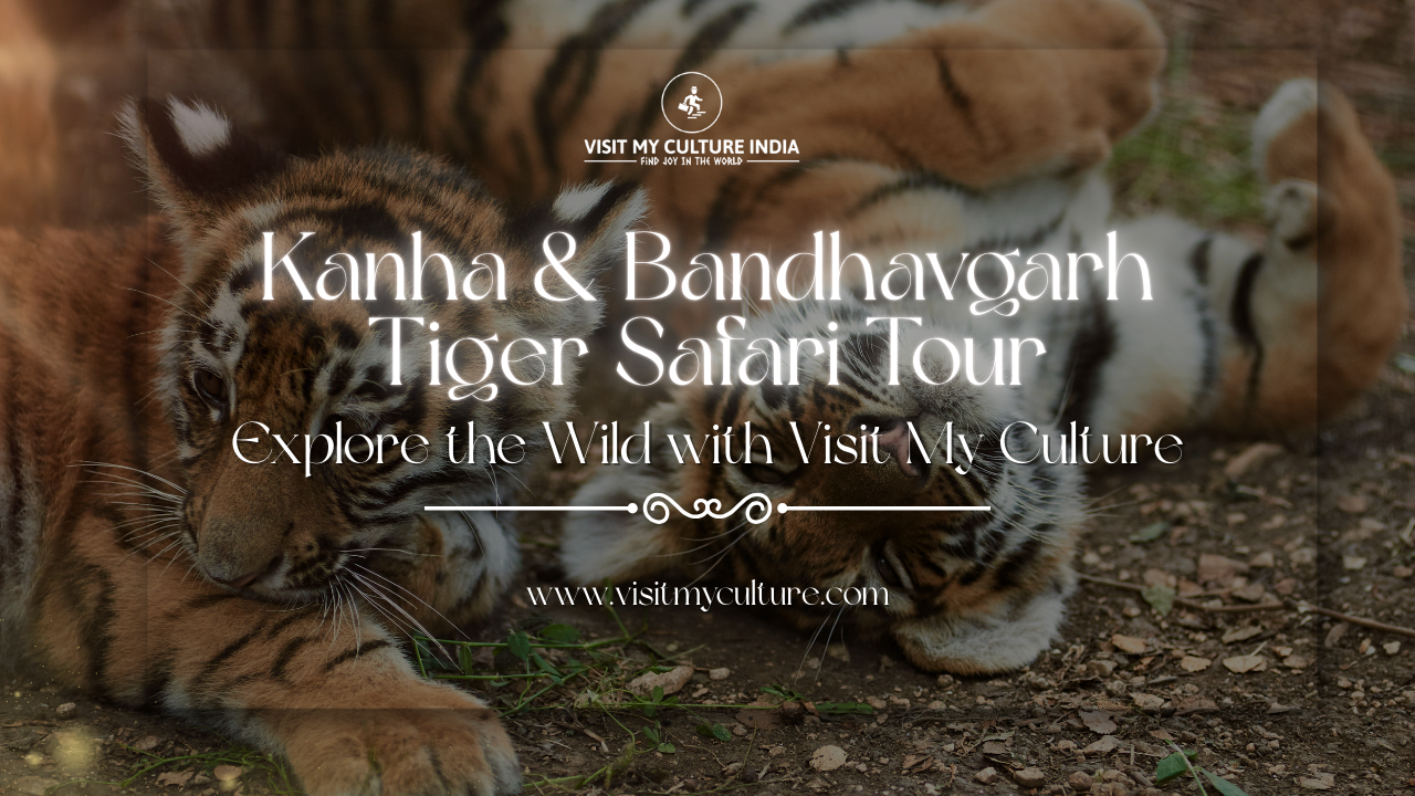 Kanha & Bandhavgarh Tiger Safari Tour – Explore the Wild with Visit My Culture